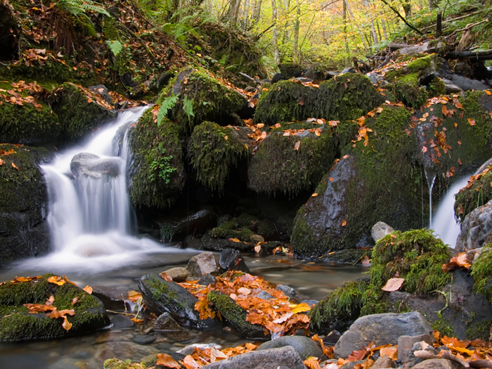 imagen predeterminada