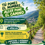 Cartel campaña