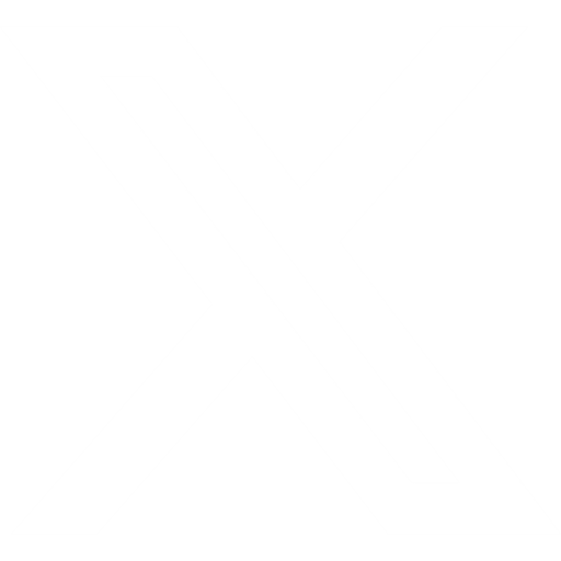 X icon